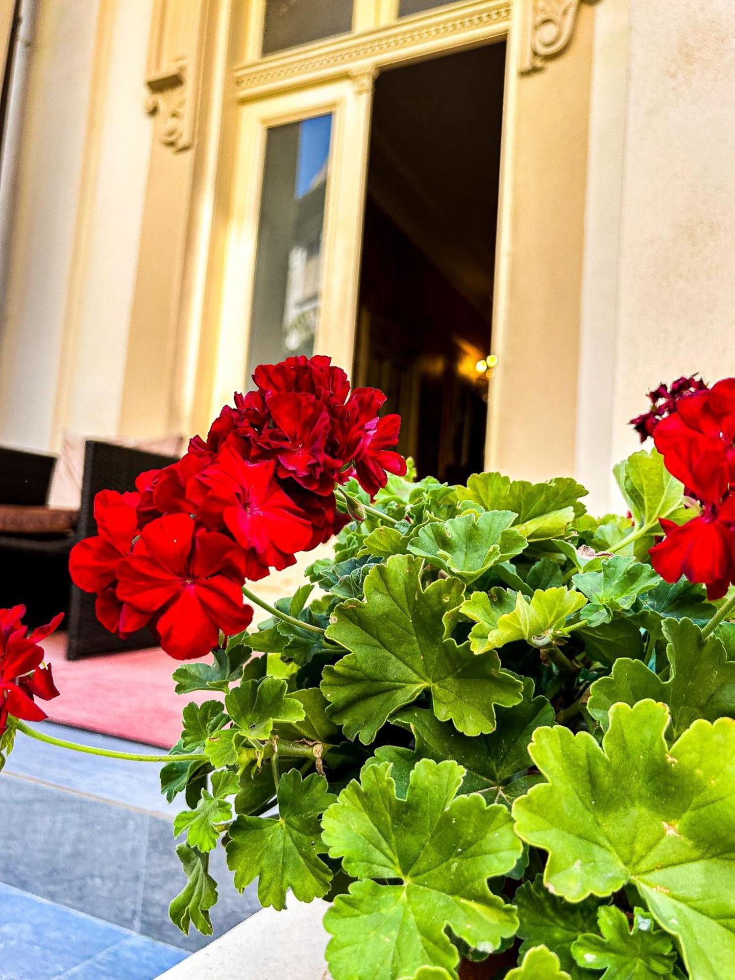 Hotel Boutique Casa Vermont Bukarest Exterior foto